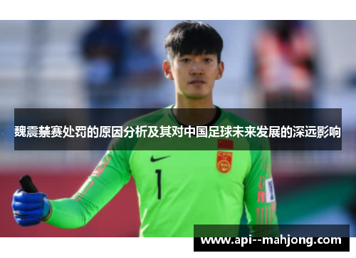 魏震禁赛处罚的原因分析及其对中国足球未来发展的深远影响